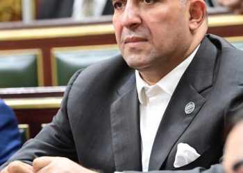 النائب محمد سليم: مصر بقيادة الرئيس السيسي أصبحت مركزًا للتوافق العربي وصناعة الاستقرار الإقليمي