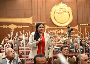 النائبة شيرين صبري: توجيهات الرئيس تضع أفكار الشباب على طريق التنفيذ وتفتح أمامهم مساحة حقيقية لصناعة المستقبل