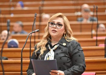 النائبة هبة غالي: لقاء الرئيس السيسي ورئيس وزراء قطر رسالة دعم لاستقرار المنطقة وتعزيز التعاون والاستثمارات