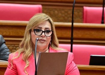 النائبة هبة غالي: مشاركة الرئيس السيسي في قمة «البريكس» تعكس ثقل مصر الدولي وتدعم شراكاتها الاقتصادية والاستراتيجية