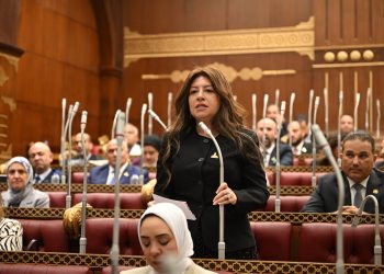 النائبة سوزي سمير: كلمة الرئيس السيسي في قمة بريكس تعكس رؤية مصر لتعزيز التعاون الدولي