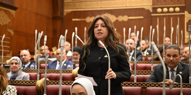النائبة سوزي سمير: كلمة الرئيس السيسي في قمة بريكس تعكس رؤية مصر لتعزيز التعاون الدولي