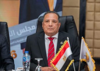 أبو هميلة: استقبال الرئيس السيسي لولي العهد السعودي يؤكد متانة التحالف المصري السعودي