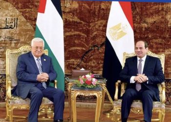 الرئيس السيسي: القضية الفلسطينية ستظل القضية المركزية في المنطقة.. ونعمل على تحقيق التسوية