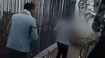 فاجعة في حديقة حيوان صنعاء: أسد يلتهم يد طفل في اليمن.. ويصرخ: أين يدي؟