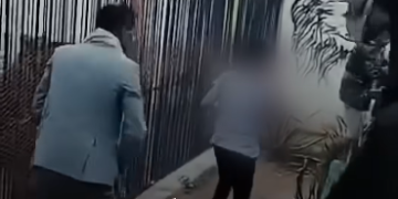 فاجعة في حديقة حيوان صنعاء: أسد يلتهم يد طفل في اليمن.. ويصرخ: أين يدي؟