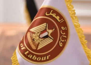 وزارة العمل تطرح 1018 فرصة وظيفية جديدة في 3 محافظات بالتعاون مع القطاع الخاص