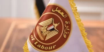 وزارة العمل تطرح 1018 فرصة وظيفية جديدة في 3 محافظات بالتعاون مع القطاع الخاص
