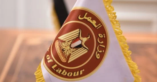 وزارة العمل تطرح 1018 فرصة وظيفية جديدة في 3 محافظات بالتعاون مع القطاع الخاص