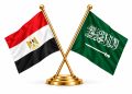 الأوقاف المصرية تدين الاعتداءات الحوثية على السعودية: أمن المملكة ركن أصيل من الأمن القومي المصري