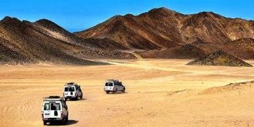شعبان محمد عبده: سفاري البحر الأحمر أصبحت عنصرًا مهمًا في المنتج السياحي المصري
