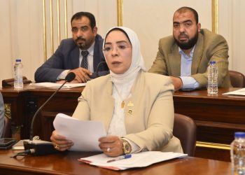 النائبة وفاء رشاد : تضامن مصر مع السعودية ثابت وراسخ ويؤكد روابط الأخوة والمصير المشترك