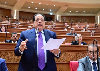 برلمانية الجبهة الوطنية بالنواب: رسائل الرئيس السيسي حاسمة.. أمن السعودية والخليج جزء لا يتجزأ من الأمن القومي المصري.. ودعوته للبرلمان تجسد احترام الدستور