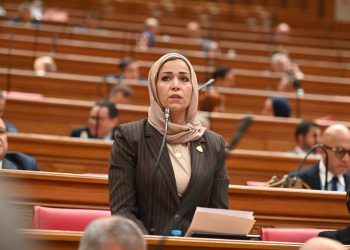 النائبة نجوى الألفي: مصر لن تنفصل عن عمقها الاستراتيجي