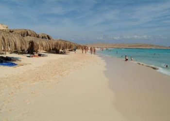 مدير محمية الجفتون: الجزيرة شهدت مغامرة سياحية بدأت عام 1997 وتحولت إلى مقصد لآلاف الزائرين