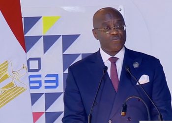 رئيس “أفريكسم بنك”: الدبلوماسية تتيح التبادل التجاري والبنك قادر على العمل في أصعب الظروف