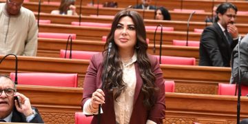 النائبة ولاء الصبان: نحتاج خريطة واضحة لتوزيع الأطباء بدلًا من استمرار أزمات التكليف