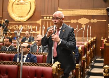 النائب حازم الجندي: تحويل توصيات منتدى مصر 2026 الاقتصادية إلى إجراءات عملية ضرورة لدفع الاستثمار وزيادة الإنتاج