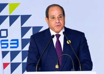 الرئيس السيسي: التنمية الاقتصادية لا تُبنى في دول غير مستقرة.. والأمن يبدأ من دعم الدولة الوطنية ومؤسساتها