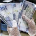 تباين سعر الريال السعودي أمام الجنيه المصري في البنوك صباح الإثنين 19 أكتوبر 2026