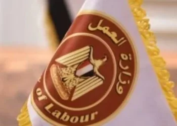 وزارة العمل تعلن 103 فرص عمل بقطاع المكسرات والحبوب في العبور برواتب تصل إلى 20 ألف جنيه.. التخصصات وطريقة التقديم