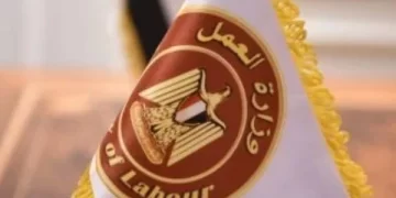 وزارة العمل تعلن 103 فرص عمل بقطاع المكسرات والحبوب في العبور برواتب تصل إلى 20 ألف جنيه.. التخصصات وطريقة التقديم